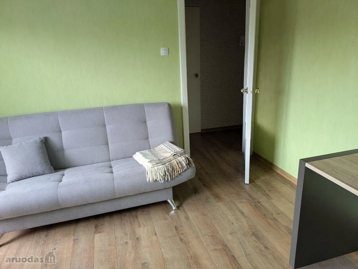 Jaukus dviejų kambarių butas. Remontas